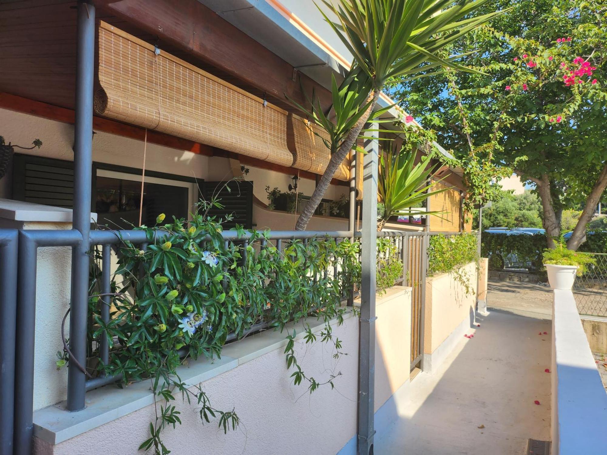 Apartmani Dijana Podgora Exterior foto
